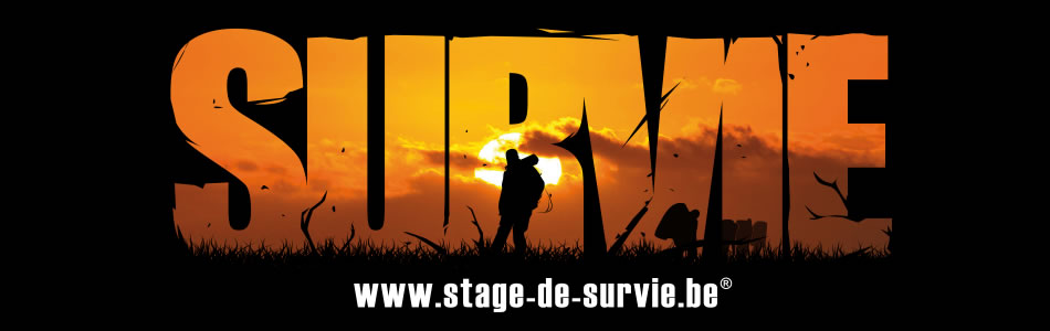Stage de survie